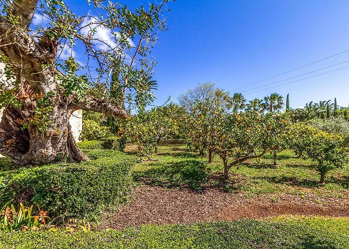 - 4661-28 Mallorca Villa Pollenca