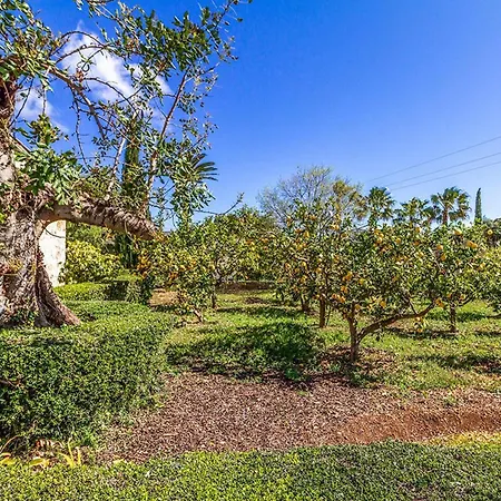 - 4661-28 Mallorca Villa Pollença